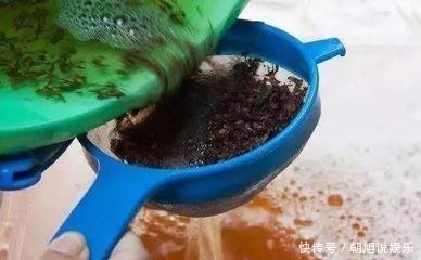 蚊香灰、烟灰“别倒掉”,撒在花盆里,驱虫子、防烂根,简单实用