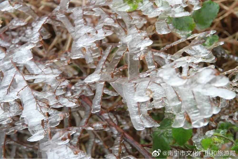 景区|大明山冰雪世界吸引了太多人，已经连续两天提前叫停售票！人满为患