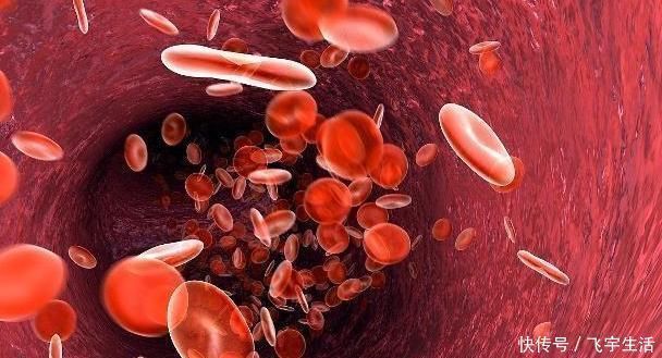 血栓|此是血管的“清洁剂”，可以帮助疏通血管，防止“血栓”的形成！