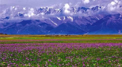 人各有志|穷人喜欢旅行，富人喜欢度假？其实人各有志，各有各的活法