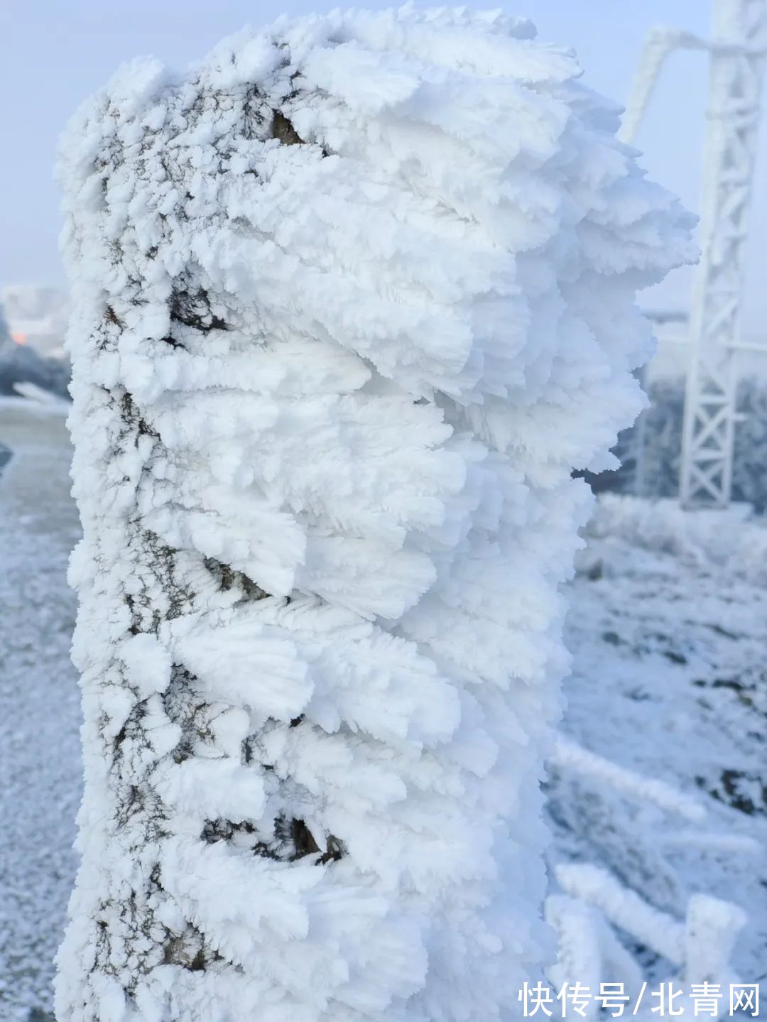 云海|太美了！台州最新雪景！括苍山跌至-10℃，再现云海奇观