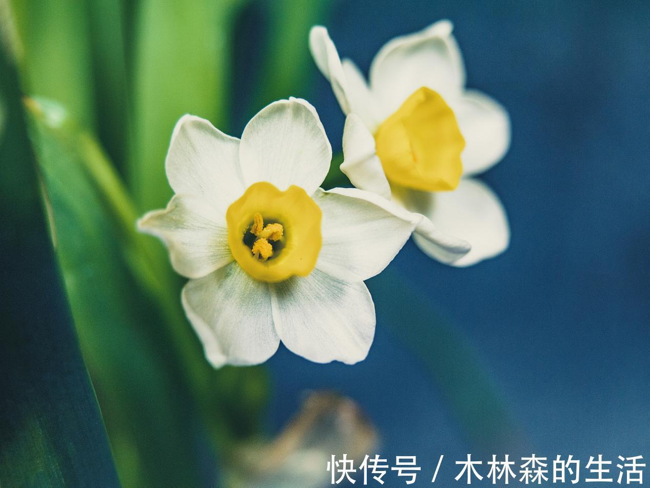 痔疮栓|痔疮真的是折磨啊！肛门痔疮用什么药效果好