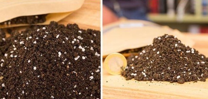 空油桶、空可乐瓶都是“养花神器”,只需“剪2刀”养都爆盆