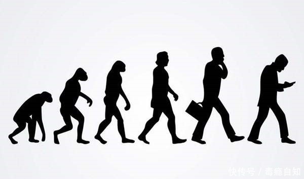 人可以设计出原子弹,登月,但除了种植,为什么造不出一粒米