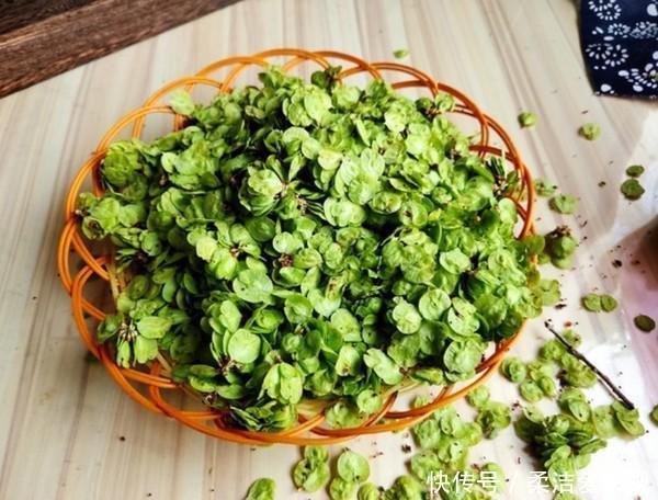 摇身一变|想吃野菜不会做快来学学,摇身一变成主食,家里人吃着可香了!