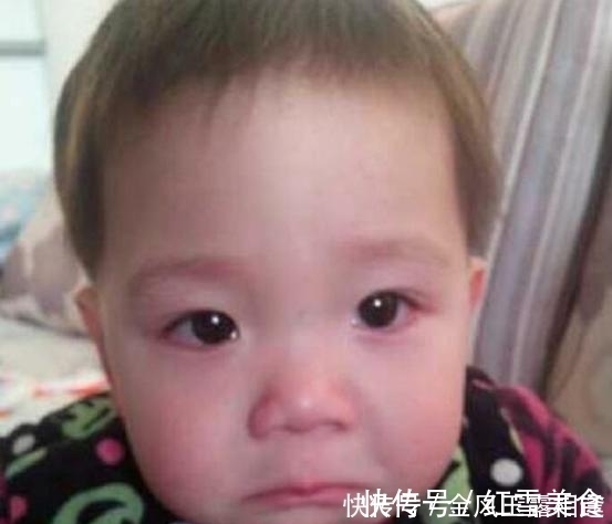 宝宝|宝宝断奶,断奶时间别忽视,医生:这个时候断奶会更顺利