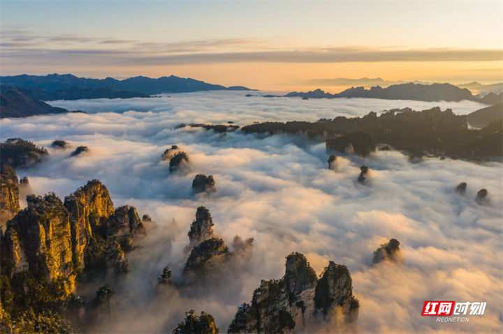 黄石寨景区|满屏仙气！张家界黄石寨景区新年现金光云海奇观