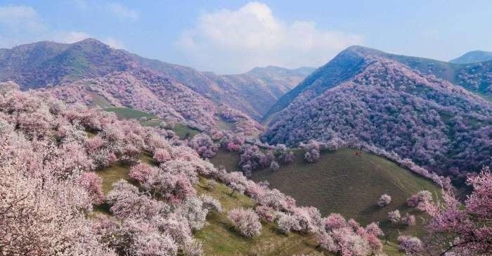 伊犁&3个古代“流放地”,宁古塔、岭南、边疆,如今却是人人向往!