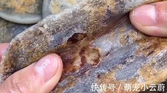 最近我家没少吃它，包一物按成饼，煎一煎出锅，外皮筋道馅香甜，美味