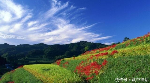 本是青灯不归客,却因浊酒留风尘,十首禅意诗,十种人生大境界!