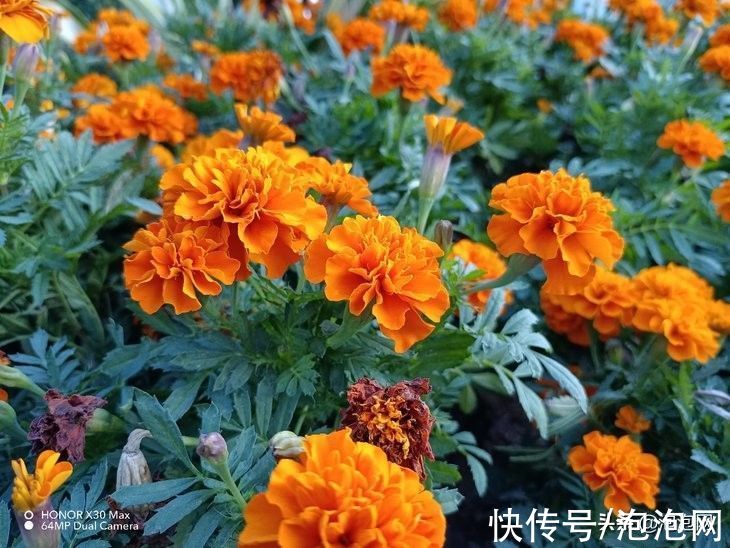 续航|荣耀X30 Max评测：畅快的大屏长续航5G手机