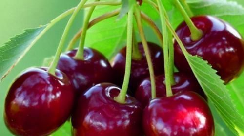 吸脂|体重过百的女性,多吃3种碱性食物,可吸脂刮油悄悄瘦到2位数