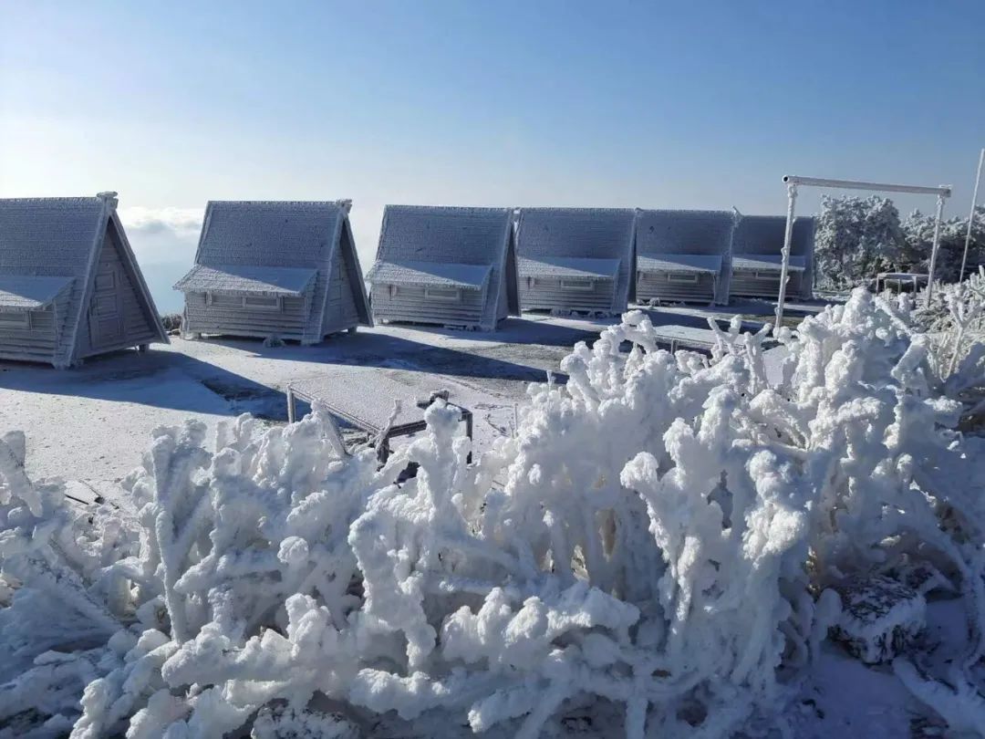 雪景|太美了！台州最新雪景！括苍山跌至-10℃，再现云海奇观（多图多视频）