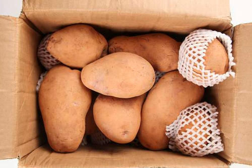 保存|保存土豆原来这么简单,老农教您一诀窍,放久了不发芽也不变色