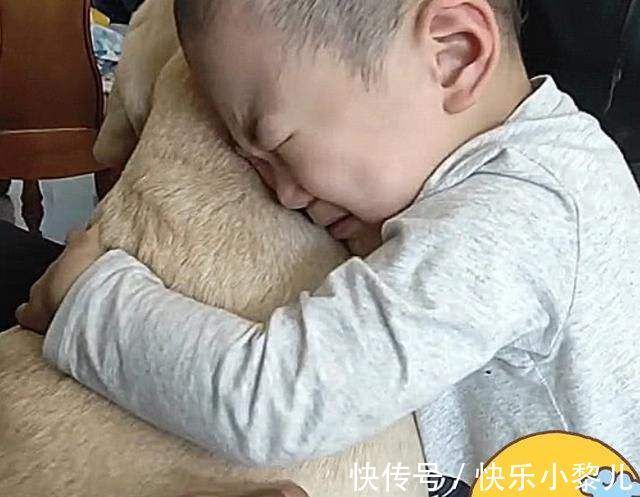 认知能力|宝宝开始认生,总缠着妈妈怎么办?恭喜,宝宝认知能力提升了