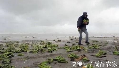 红宝石 有人在海边捡到钻石,更有人在海边捡到红宝石戒指