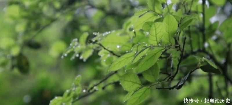 名篇|宋朝诗僧独自外出游玩,看到迷人的风景,写下一首唯美的千古名篇