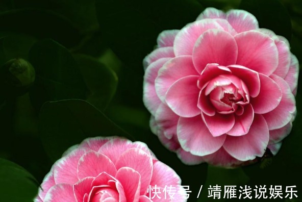 身边人&俗话:天狂有雨,人狂有祸,再有本事也别说4句话,才能福从口入