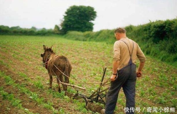 农村俗语：“雀子屎落头上，不是死就是伤”，有道理吗？