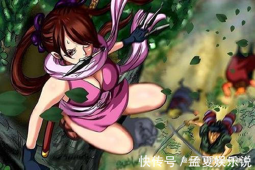 御田|海贼王:时夫人预言即将落空!赤鞘九侠成八侠,谁来补上这一角?