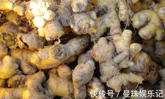 食物|马上停止吃这5种食物,用100度开水都煮不干净,家里有的尽快扔掉