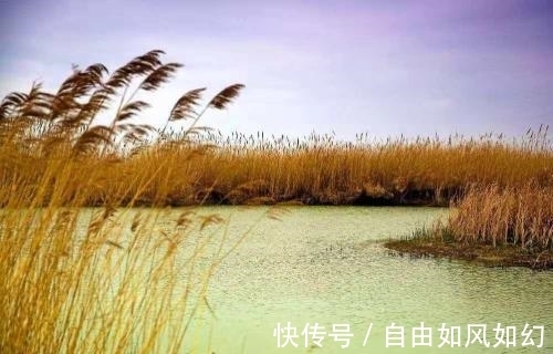 曲婉@李商隐感怀秋雨绵绵,抒写了一首名作,短短四句话,却值得细读