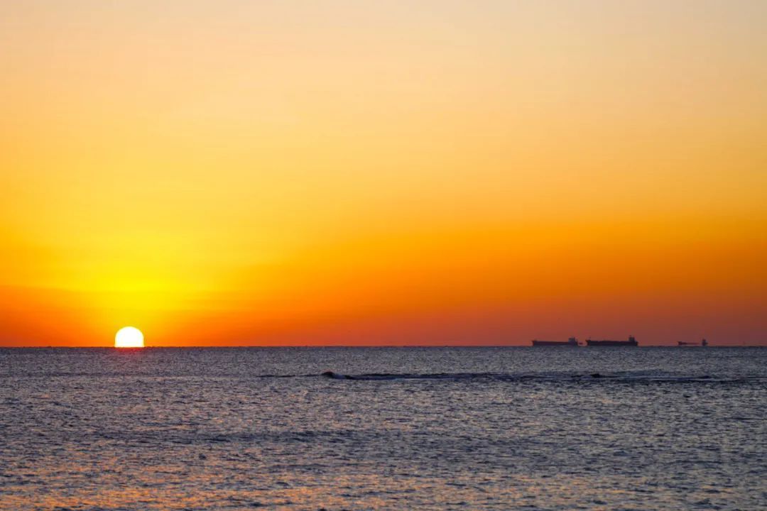 老年|有一种心动，叫做日照新年日出！