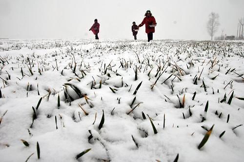 冬至将至,冬至日将上演400年不遇的“土木相合”,对农业影响