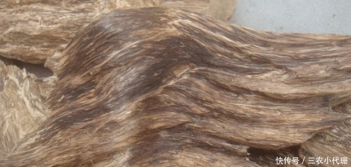 废柴|一种听说过得人多,以前被当废柴烧火的东西,现在价格早已突破天际