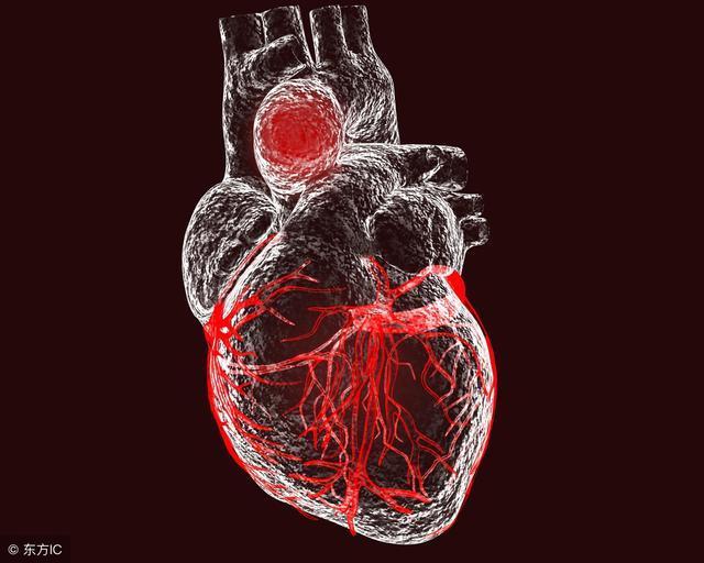 微血管|6种食物是天然“降脂药”,每天吃一点,血脂悄悄降下去!