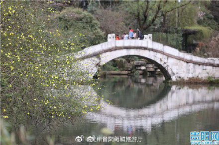 中年|花团锦簇 贵阳黔灵山公园踏青赏花正当时