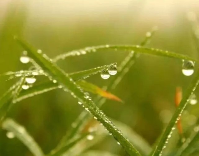 种水|清朝没有纯净水，慈禧太后只喝这3种水，其中两种给我们都不想喝