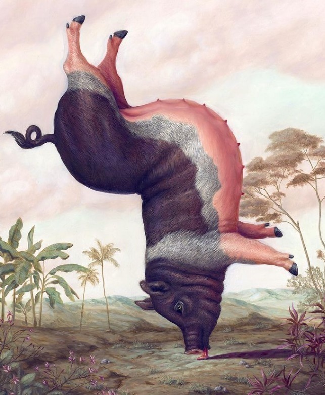 动物们&胆小谨点,插画师笔下的诡异动物看完一秒清醒!