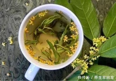 茶里2片它，1杯胜过13杯的营养！这么多年我们都白喝了！