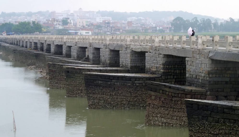 利用|宋朝建的第一座跨海大桥,利用一种动物加固桥梁,至今屹立不倒