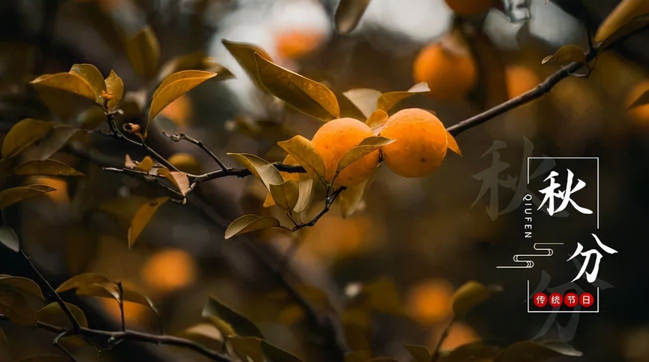 秋天&诗词丨又是一年秋分至，秋夜渐凉情渐长