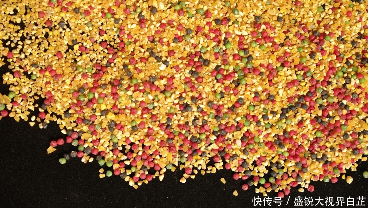 钓鲫鱼时怎么打窝才能事半功倍?