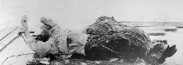 妖僧|俄罗斯“一代妖僧”,上流贵妇的“妇女之友”