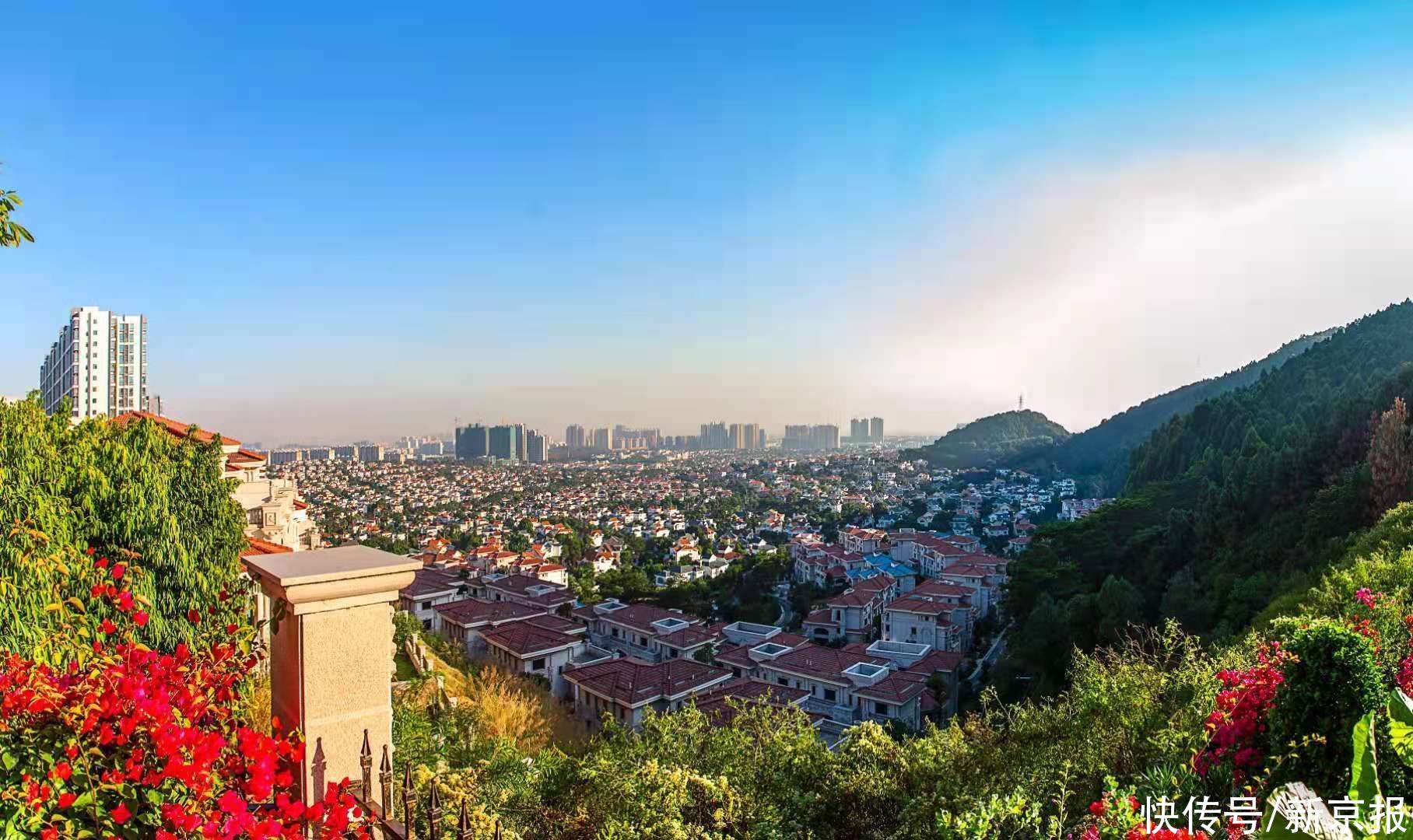 数据|鉴报｜“全竞提升”第三年 揭示碧桂园中报数据背后的增效逻辑