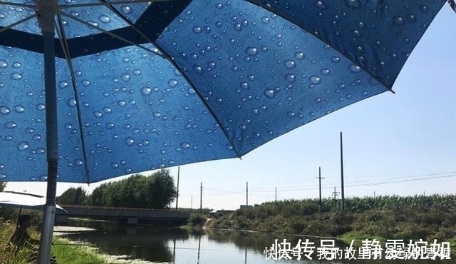 新手钓友牢记钓鱼7忌，虽然不能助你多钓鱼，但也能不让你放炮