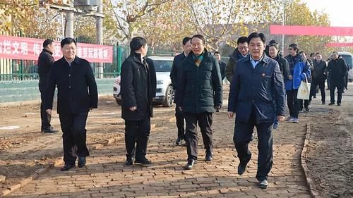  调研|国内众多顶尖考古专家齐聚淮阳时庄遗址现场调研及学术研讨