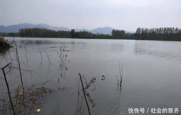 钓位|本味三兄弟,助我擒板鲫!