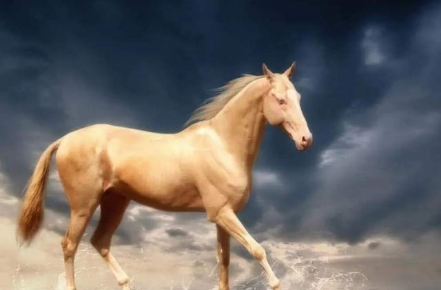 禁军教头|历史上那些听起来很厉害,但其实没什么权力的官职