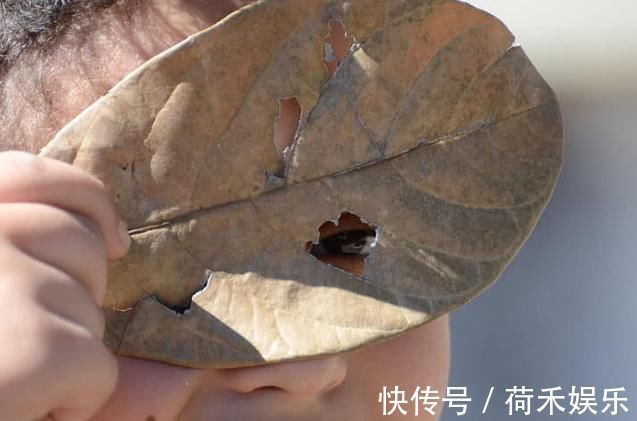 视力|学生近视眼如何“自然恢复”眼科医生坚持3件事,让视力更清晰