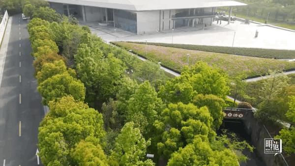 与楼兰一起在先锋建筑中寻找舒适