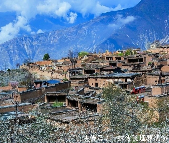 甜樱桃花开十里，云朵上花季来啦！|汶川100景 | a5313