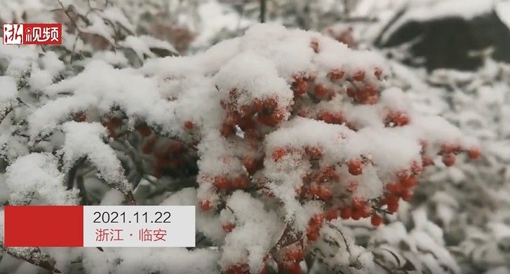 新闻记者|浙江多地下雪！一地积雪厚度达3公分……