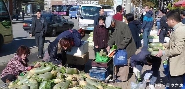 目瞪口呆|入冬了,听说东北人开始论车买菜了,南方人看得目瞪口呆