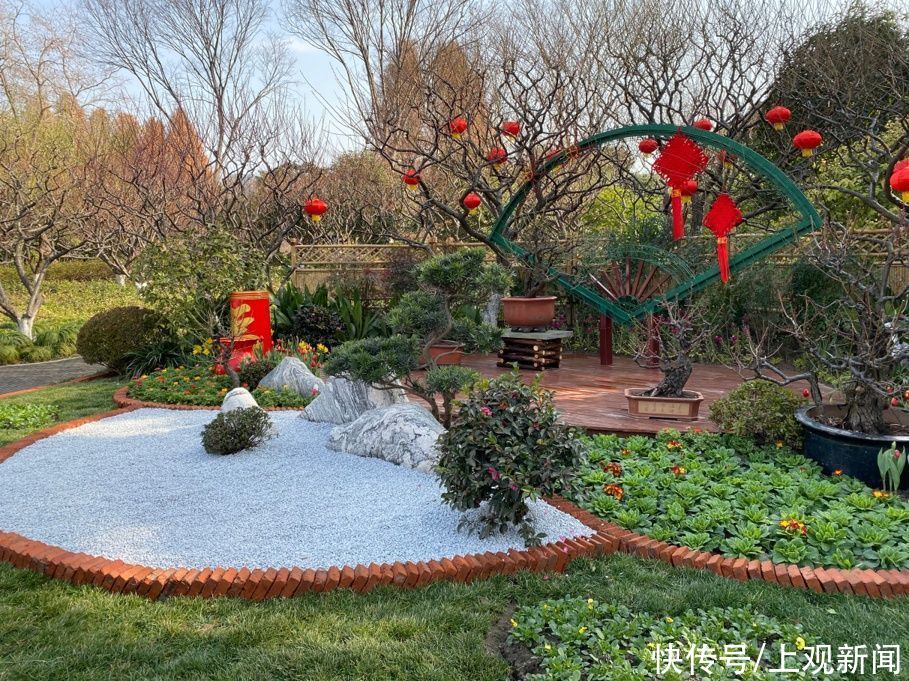 错过|快来一起赏“梅”景！去年没约成，今年别错过啦