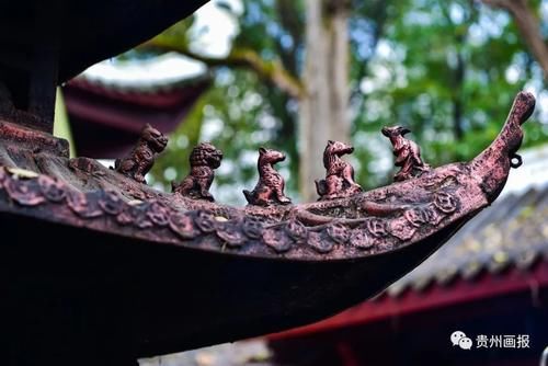 冬游记丨登东山寺，听蝉音鸟鸣